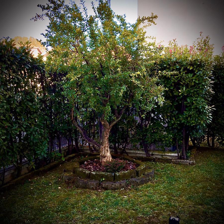 Residenza Il Fiore Bergamo Bagian luar foto