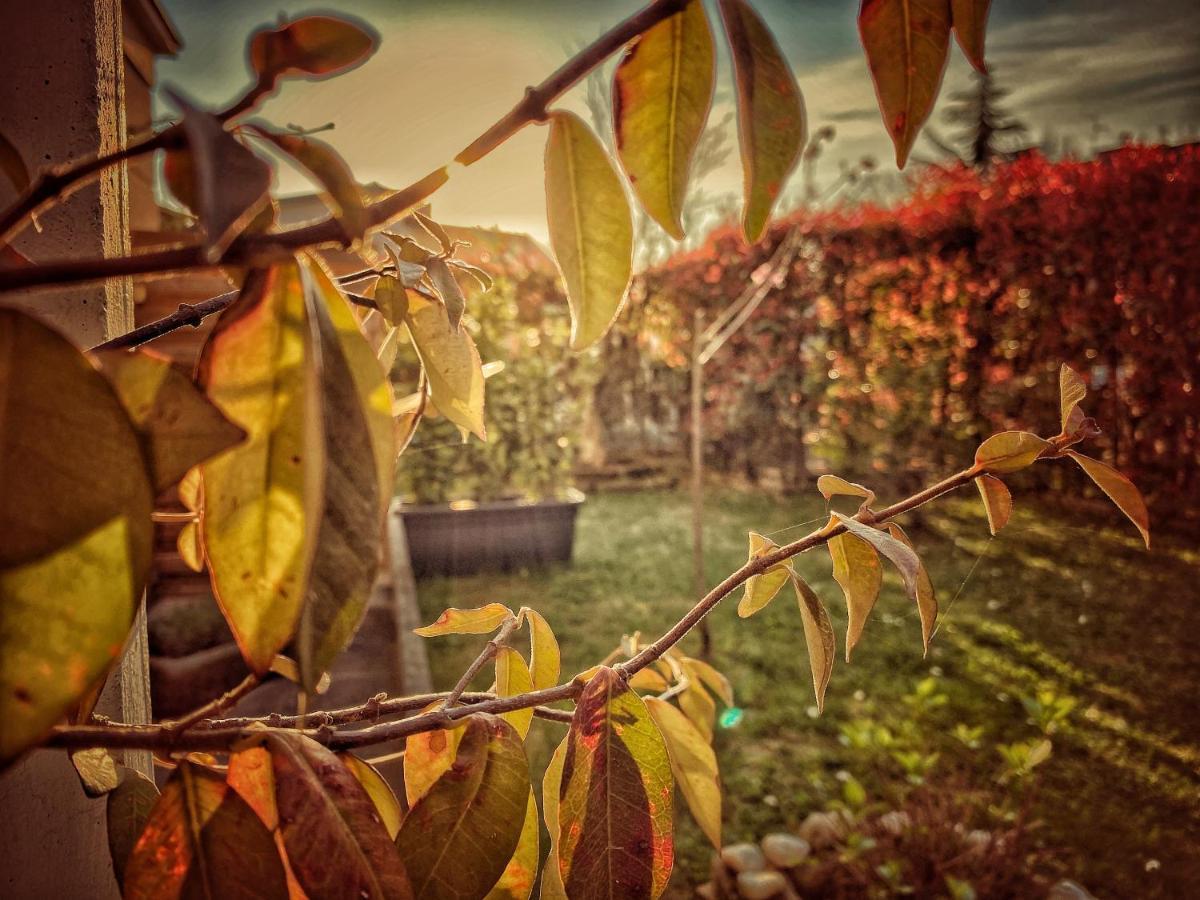 Residenza Il Fiore Bergamo Bagian luar foto